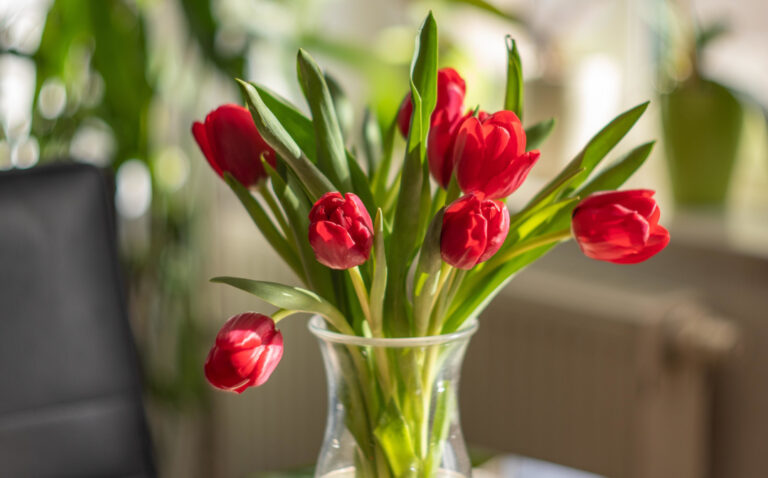 Homestaging před prodejem nemovitosti, blog, Ervin Džekovič, realitní specialista