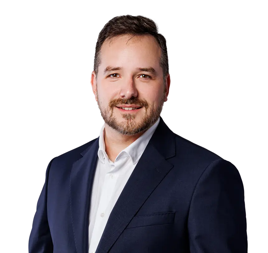 ervin dzekovic portret recenze